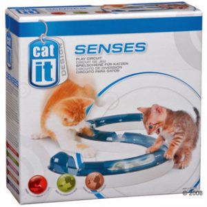 Cat-it senses