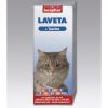 Laveta kat