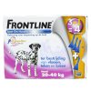 Frontline "Spot on" (3+1)