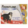 Frontline "Spot on" (3+1)