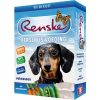 renske vis