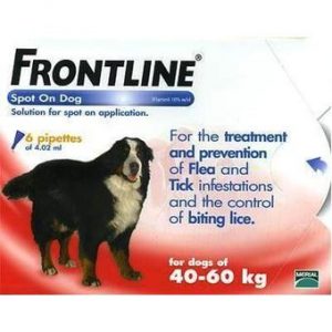 frontline XL +40kg  spot on en combo